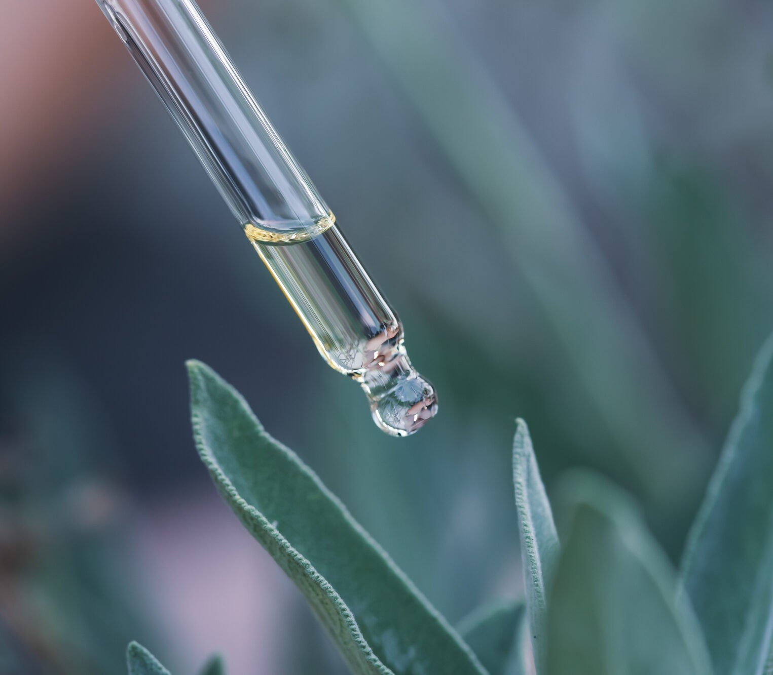 The World Of Psychedelic Medicine